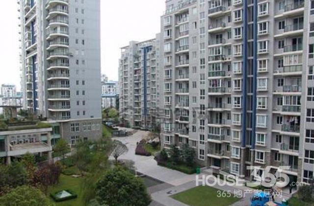 西兴租房，城市边缘的温馨港湾