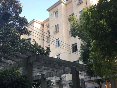 城市绿洲 第3页