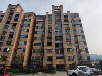 崇义租房，探索城市生活的多元选择与温馨家园