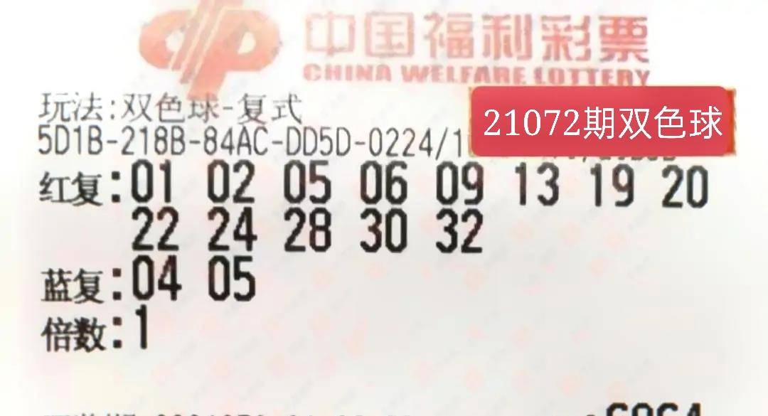 今日双色球开奖号码结果查询，揭秘最新幸运数字，共赴梦想之旅