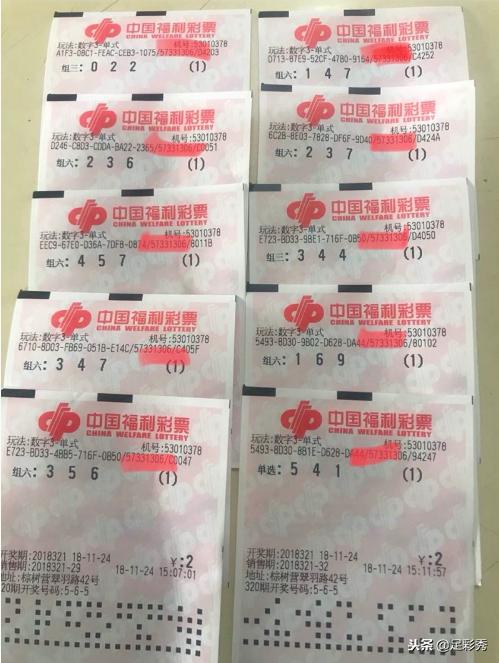 3D彩票，探索近100期开奖号码与试机号的奥秘