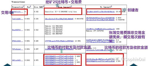 探索数字的奥秘，三D试机号与彩宝网的世界