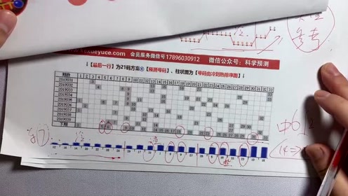 双色球专家研彩预测，科学分析与智慧选号的艺术
