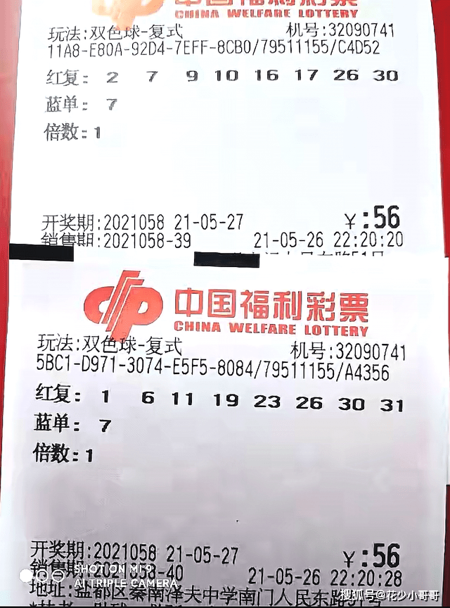 今期香港开奖结果记录，透视彩票文化与公众生活的微妙交织今期香港开奖结果记录4949