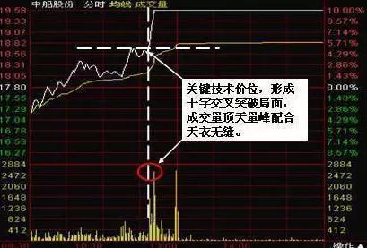 揭秘白小姐精选三肖，期期的精准预测与开奖结果分析白小姐精选三肖期期准143