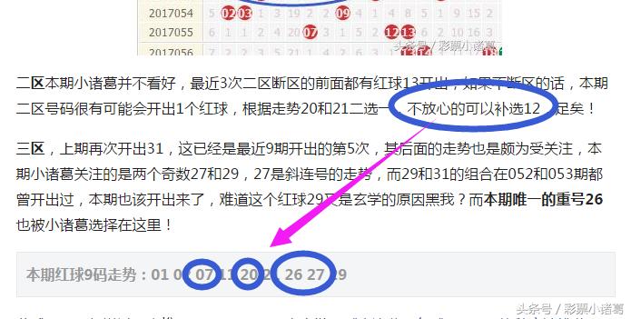 管家婆的资料一肖中特，揭秘背后的神秘与智慧管家婆1肖中特