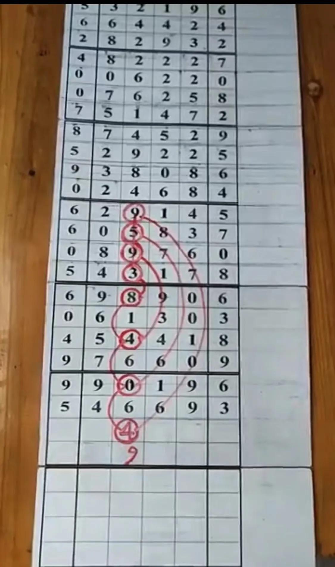 探索体彩31选7走势图，数字背后的奥秘与乐趣
