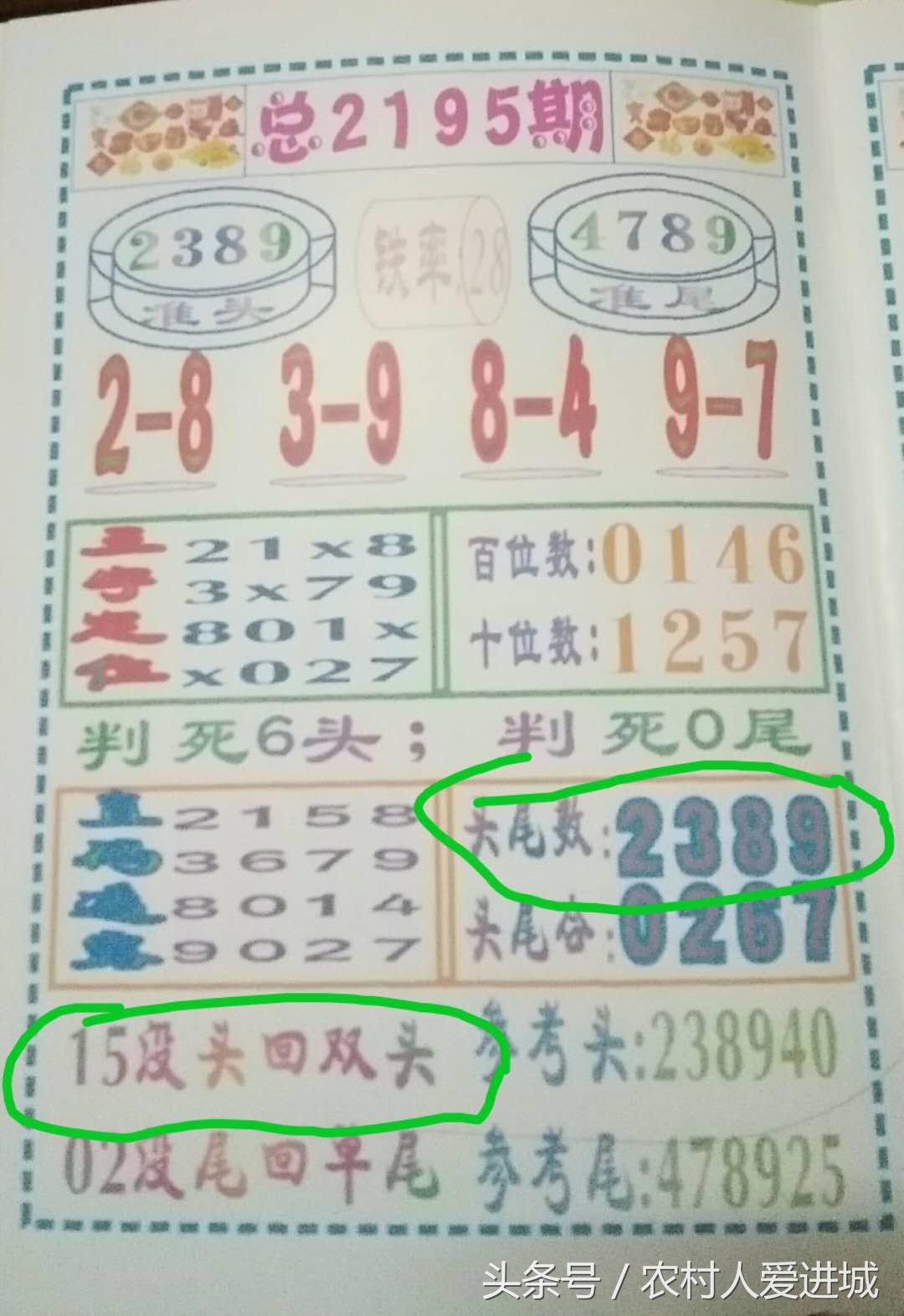 澳门三期内必开十码期—揭秘彩票的真相与理性态度澳门三期内必开十码期期准必开软件下载