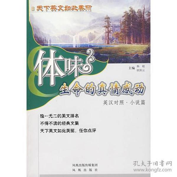 探索246免费资料大全的文学世界，天下小说的无尽魅力新澳2025最新资料大全挂牌