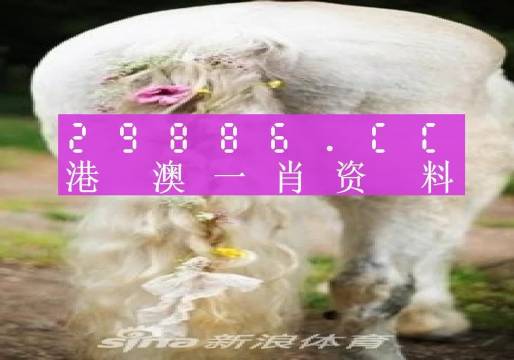 2036年澳门必中一肖预测，理性与科学的结合2023年澳门必中一肖一码小马哥