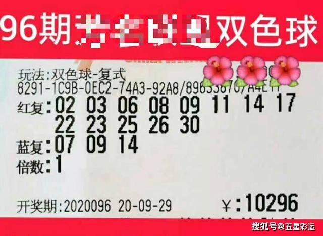 2046新澳门天天开好彩大全，揭秘幸运密码，共享财富喜悦2024新澳门天天开好彩大全龙门客栈