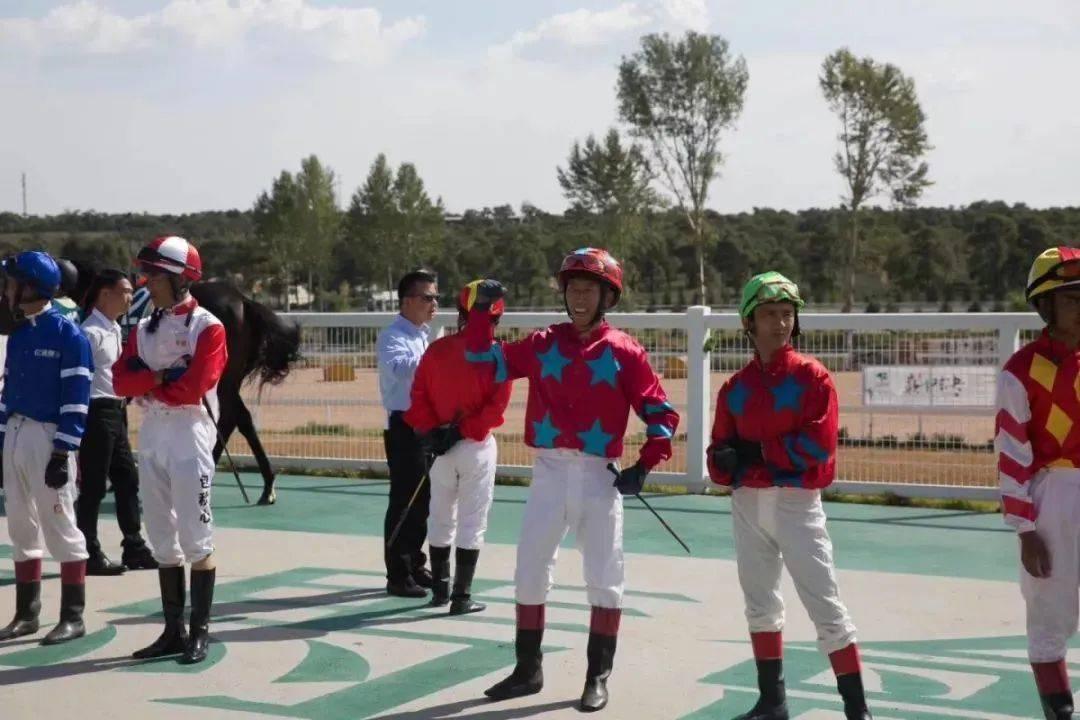 2019年香港马会内部免费资料，透视赛场风云，共赏精彩瞬间