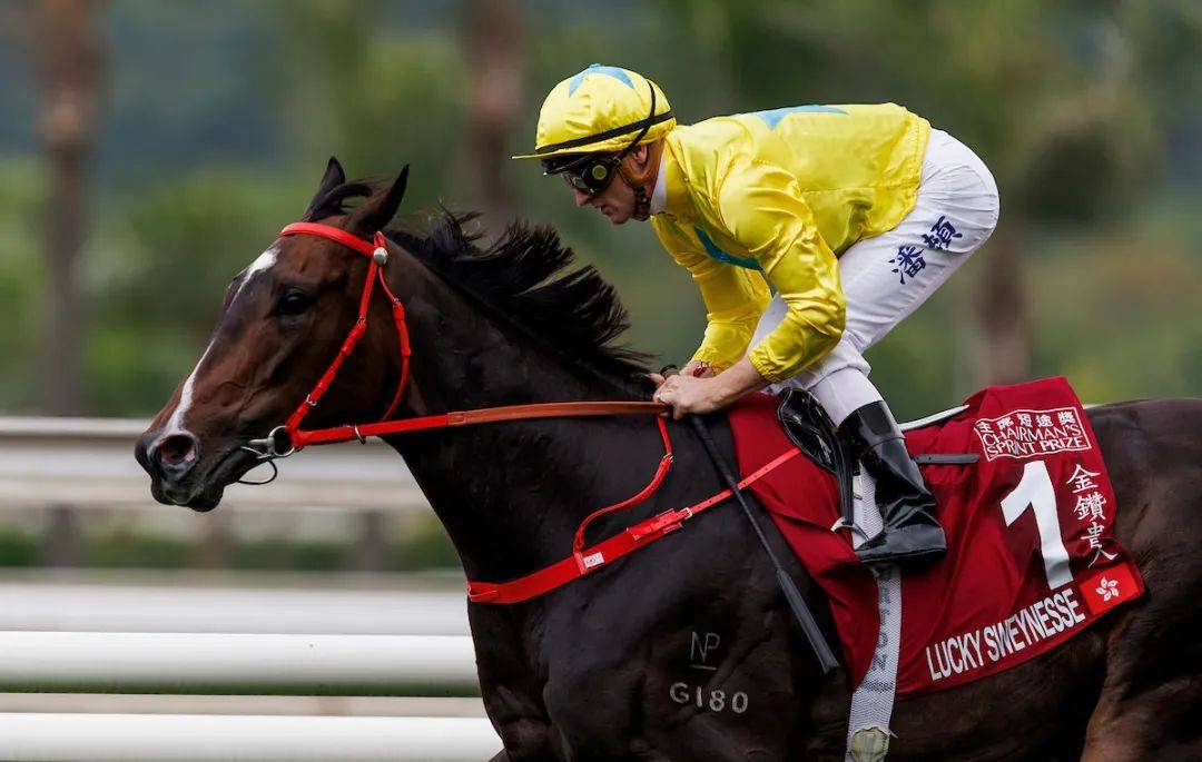 澳门今晚必中一肖的神秘传说与香港彩票文化今晚澳门必中一肖一码香港西肖