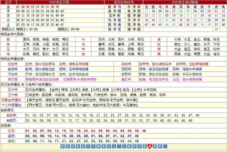 探索二肖3码的奥秘，数字背后的智慧与乐趣二肖3码今天的资料
