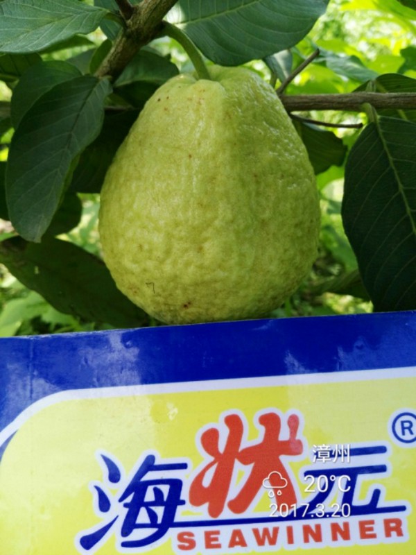 高手论坛