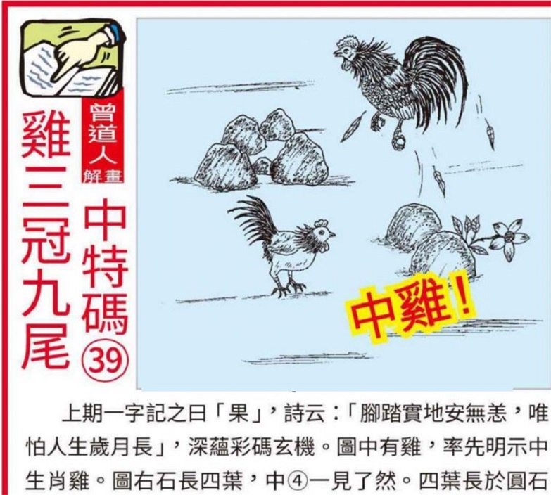 免费资料大放送