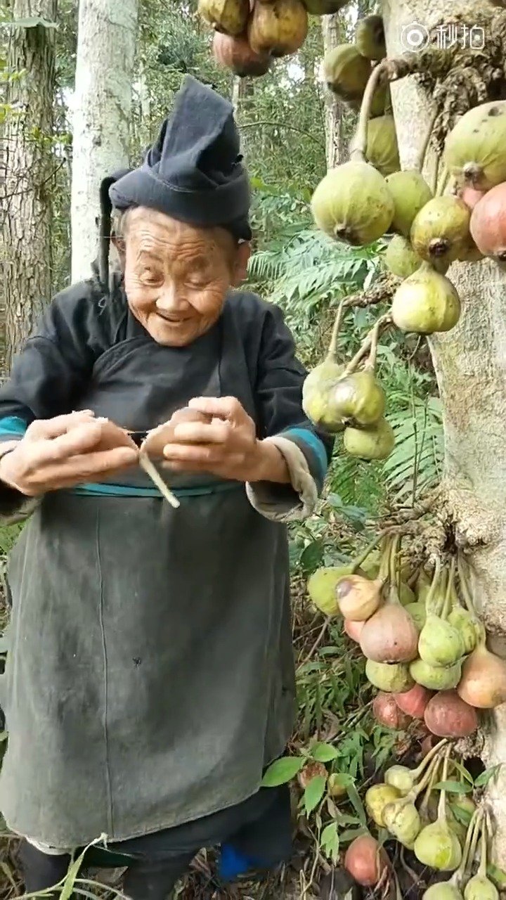 天下水果奶奶