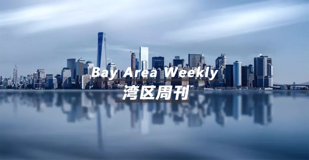 2036年澳门资料大全，探索未来之城的全面指南（虚构内容）2023澳门资料大全免费十开奖记录,宝宝的生肖