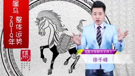 2019年特马生肖图，传统与现代交织的幸运符号二0一九年特马生肖图