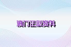 澳门精准资料，期期的等待与有效性的探讨澳门精准资料免费至再至三