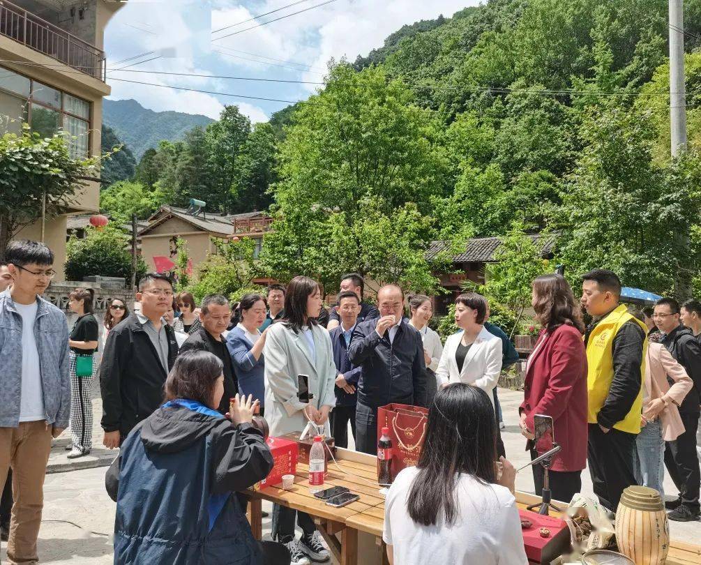 澳门新视频开奖直播现场回放，如何轻松观看与回顾澳门开奖现场直播2021am