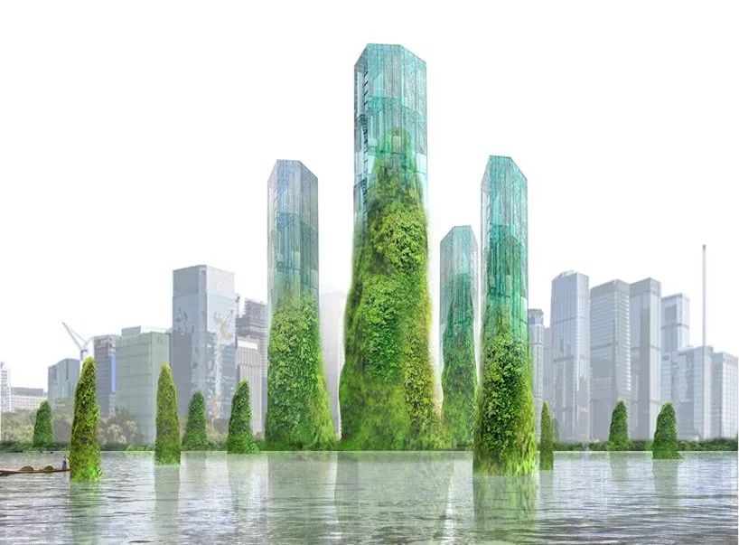 新澳门2035芳草地，未来城市绿洲的官方网站中文版揭秘澳门芳踪